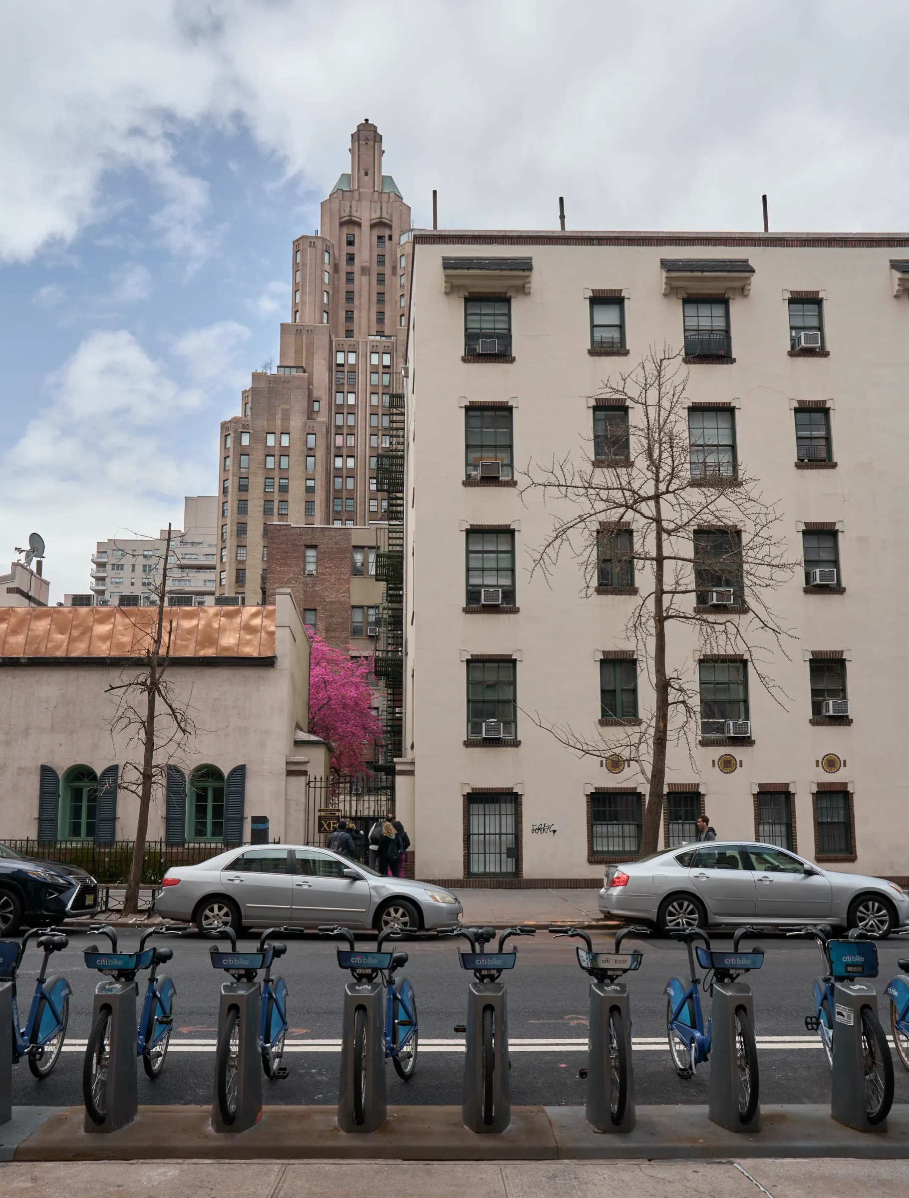 New York apartment facades with a blooming pink tree tucked between buildings